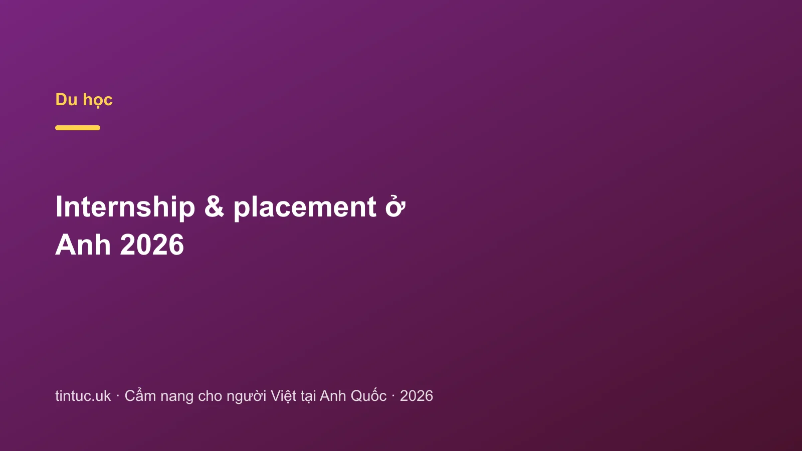 Internship & placement ở Anh 2026