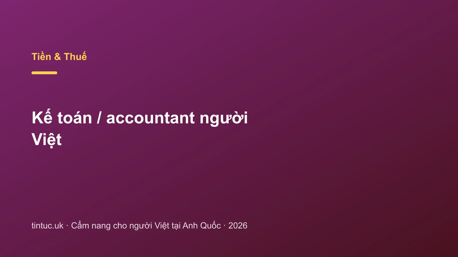Kế toán / accountant người Việt