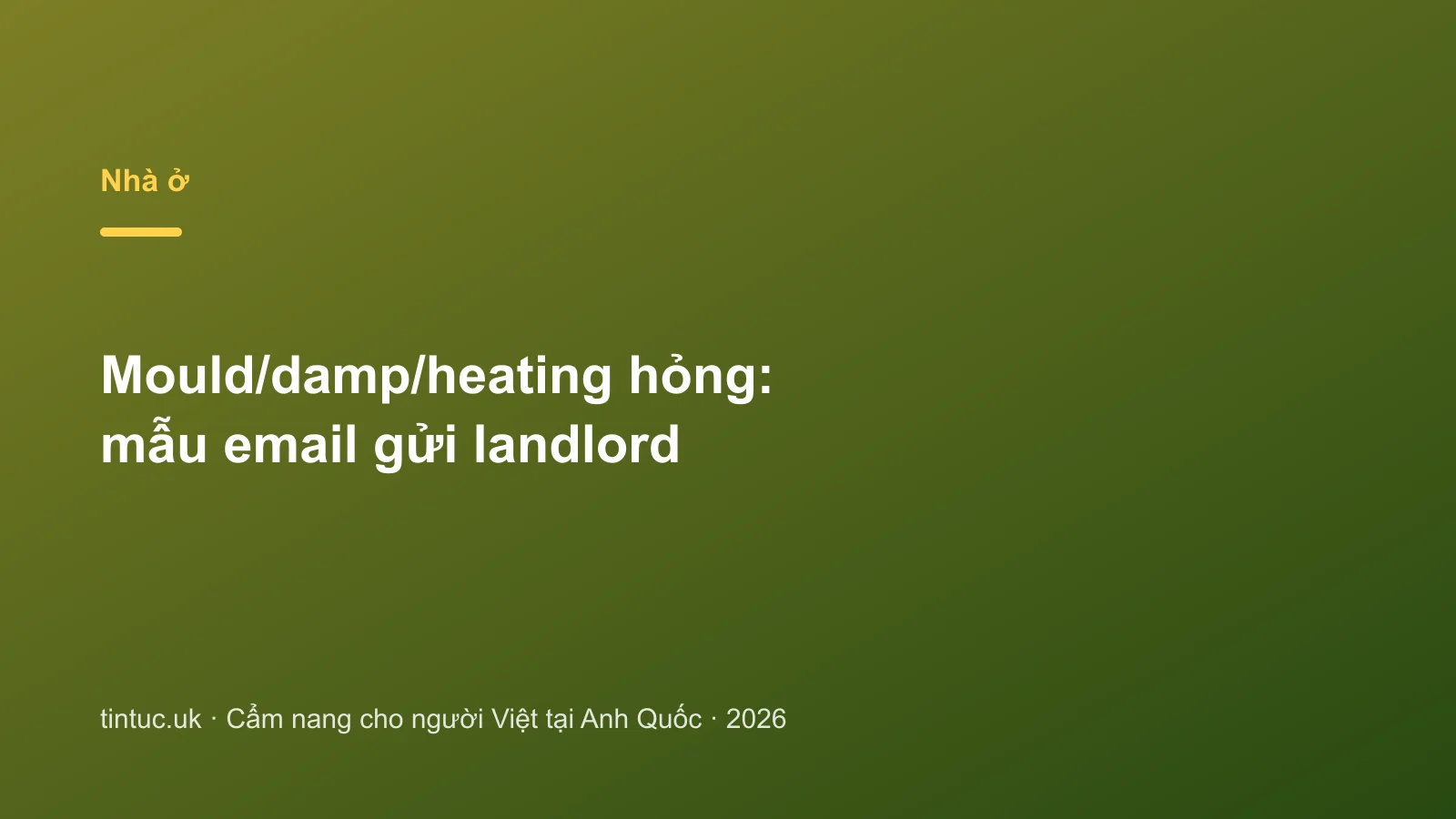 Mould/damp/heating hỏng: mẫu email gửi landlord